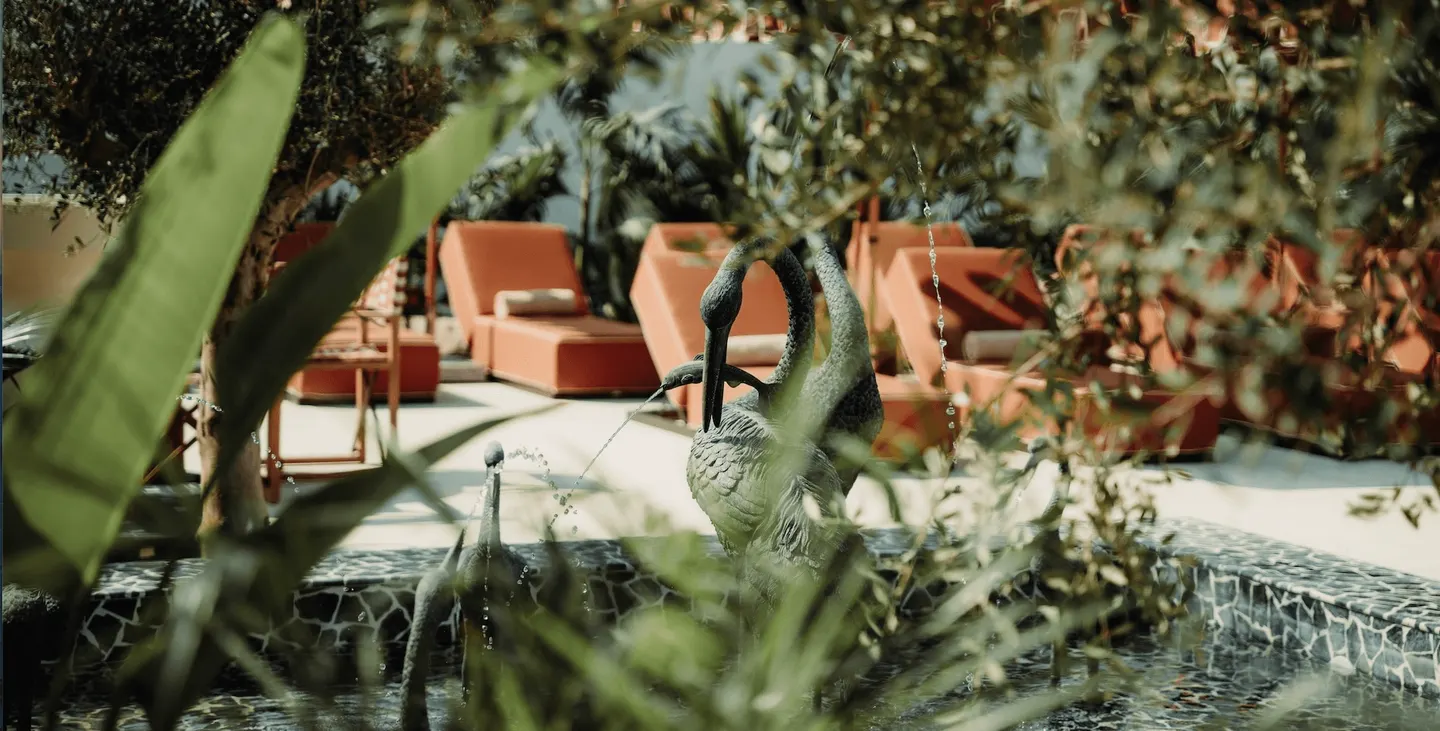 VIP Cabana deal image