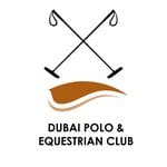 Splash Pool Bar - Dubai Polo & Equestrian Club logo